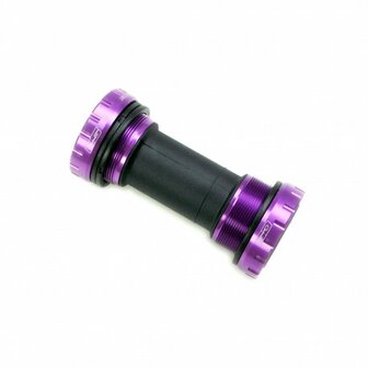 SD bracket purple